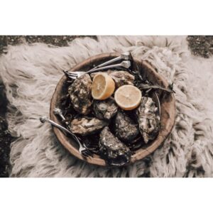 Anovi oestervorken 4 delig